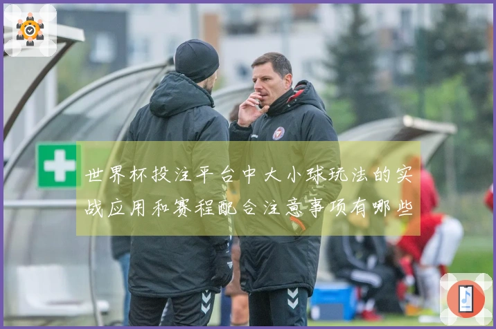 世界杯投注平台中大小球玩法的实战应用和赛程配合注意事项有哪些？