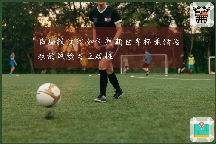 临场投注时如何判断世界杯竞猜活动的风险与正规性